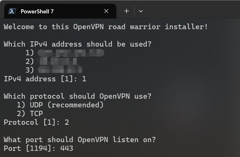选择使用的 IP，协议，端口